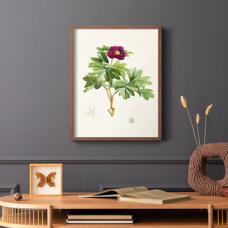 «Pretty Pink Botanicals III», reproduction encadrée - bois massif, Brun, H 14 po x l 11 po