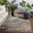 Haden Oriental Indoor/Outdoor Area Rug-1538018754