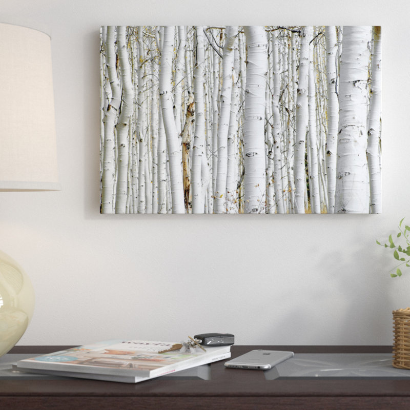 Bois de bouleau - Estampe numérique PhotoINC Studio, H 18 po x l 26 po x P 1,5 po, Toile tendue, Pas de tapis