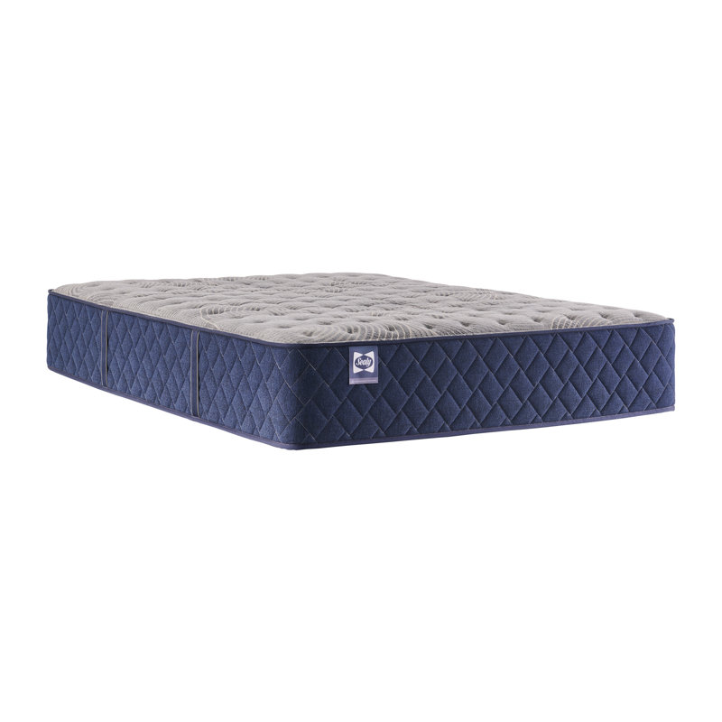 Sealy Dudley Chase 14.5" Medium Tight Top Innerspring Mattress, Full