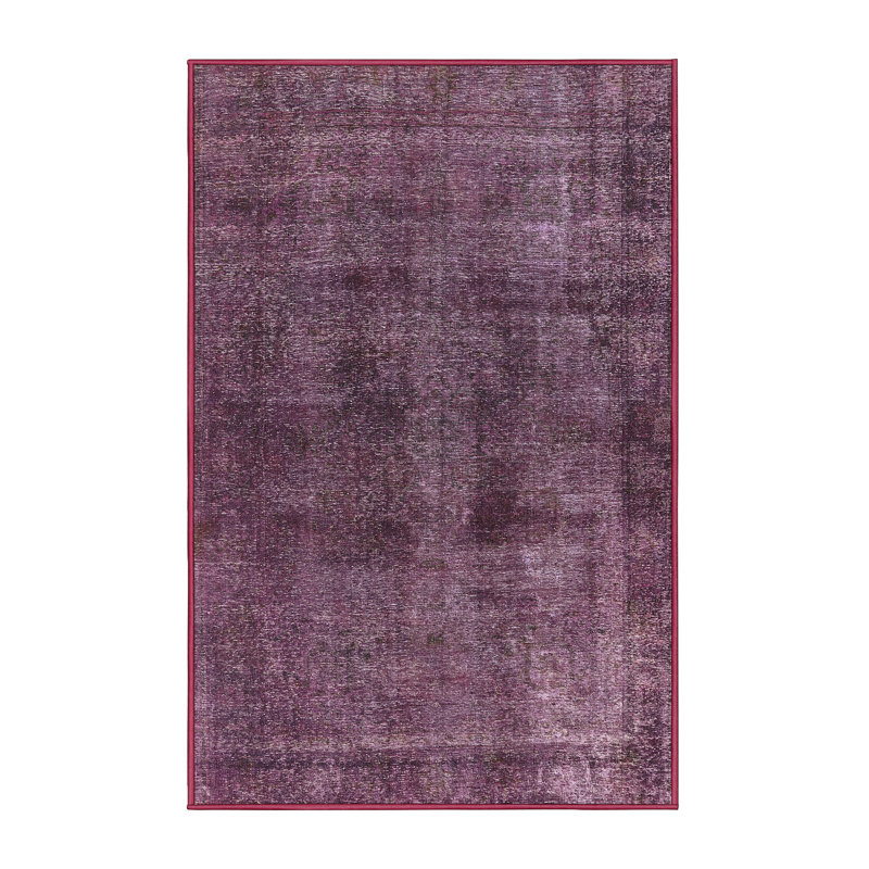 Ahmina Indoor Rug, Rectangle 8' x 12'