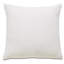 Naomi Square Pillow Cover & Insert