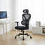 Office Chair with Headrest