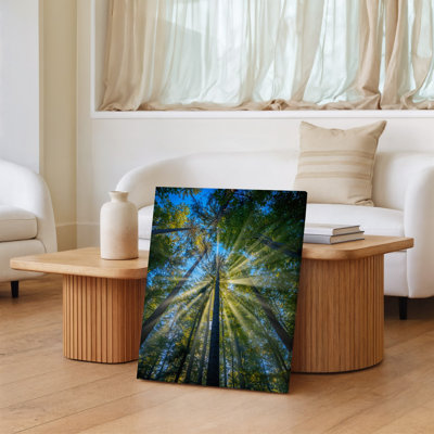 Canvas A Breathtaking View Of A Dense Forest Captured From A Wall Art Low Angle Looking Up Towards The Towering Trees That Stretch Canvas Wall Art