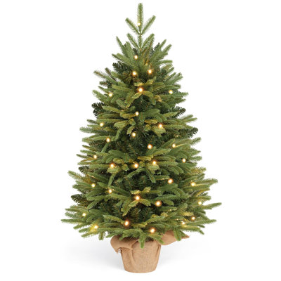 90' H Christmas Tree