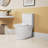 1.1/1.6 GPF Elongated Comfort Height Floor Mounted One-Piece Toilet, CUPC Certified, Watersense Cetified, Ceramic, White Color, Soft Close Seat
