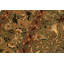 Tapis oriental vert / beige / rouge en laine noué à la main 9 pi x 12 pi Roca