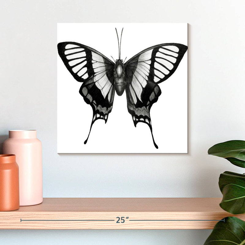 Crowle Butterfly Wings, 16" H x 16" W