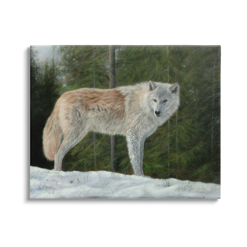 «Wild Coyote Wolf Gazing Snowy Forest Clearing» par David Stribble - peinture sur toile tendue, H 16 po x l 20 po x P 1,5 po