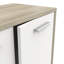 Birkley 2 - Door Standard Accent Cabinet