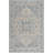 Donivin 100 Performance Oriental Rug-27096349
