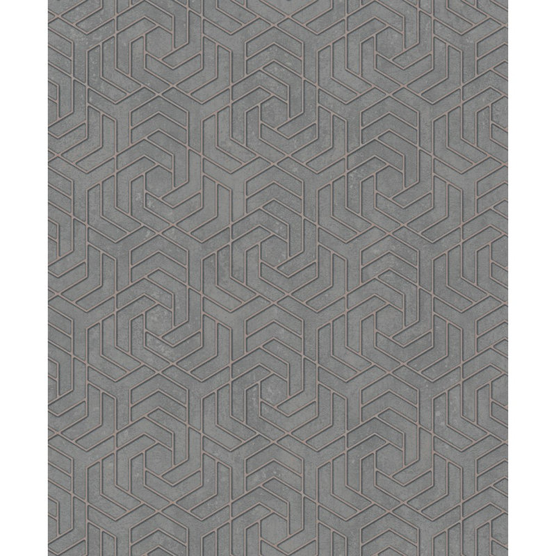 Rouleau de papier peint L 33 pi x l 21 po Brysin, Gris foncé