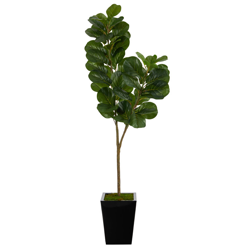 Faux Fiddle Leaf Fig Tree, Black, 68" H x 21" W x 16" D