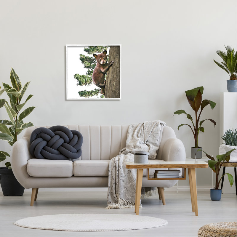 «Bear Cub Climbing Tree Nature» par Kim Curationa - Cadre flottant, impression sur bois, H 24 po x l 24 po x P 1,5 po