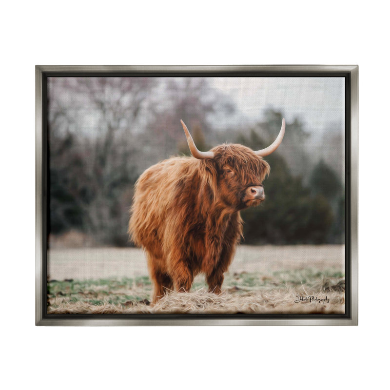 «Serene Highland C bestton» par Dakota Diener - reproduction de cadre flottant sur toile, H 30 po x l 40 po x P 1,5 po