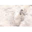 Tapis gris-547839561