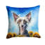 Coussin décoratif intérieur / extérieur Autre / Sans motif-99812802