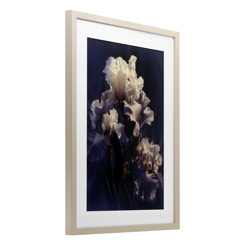 Purple Iris Close Up Framed Print Under Glass, design by Collin Bogle, Harvest Pine Frame, 23" H x 17" W