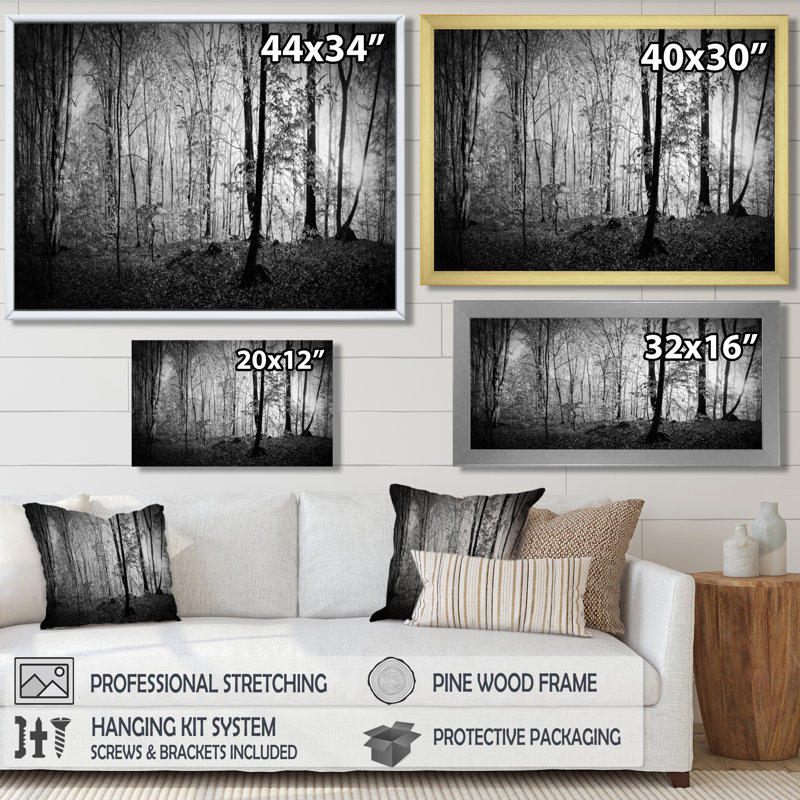 «Beautiful Forest Morning Panorama», reproduction, H 12 po x l 20 po, Cadre flottant doré