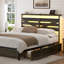 Antioch Upholstered Bed-1929943777-1929943772