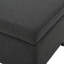 Banc de rangement relevable, repose-pieds polyvalent avec rangement dissimulé, entrée idéale ou ajout à une chambre à coucher-997768526
