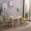 Jeniffer Metal Base Dining Table