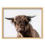 Illustration d'une petite vache Highland à poils longs, Illustration moderne, petit décor, œuvre d'art moderne-101376571-101376568