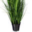 Citronnelle verte en pot 48 po-1398121245