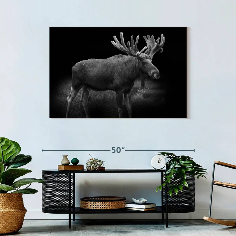 Brampt Monochromatic Bull Moose, 30" H x 45" W