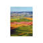 Color Plains II Print by Glenn Allen-26949250-26949251