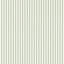 Pinetum Stripe Fabric-1703330036