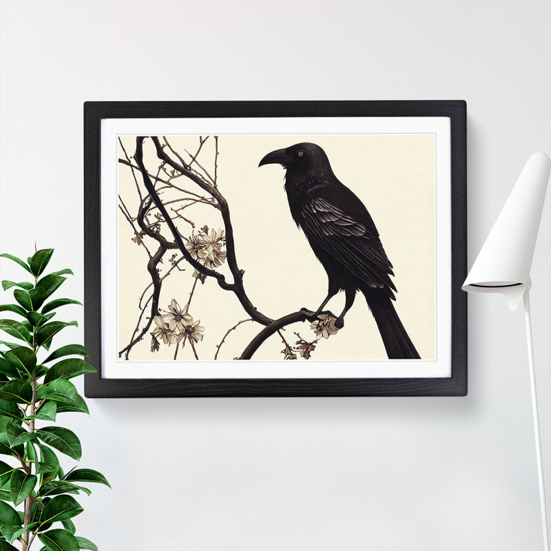 Terrific Crow Bird - Framed Print, Black Framed, 46cm H x 64cm W x 2cm D