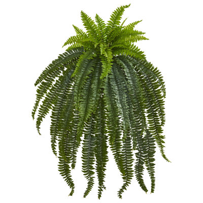 Faux Fern Plant