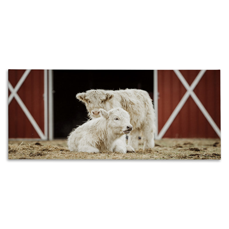 Art mural sur toile de grange blanche par Dakota Diener, H 20 po x l 48 po
