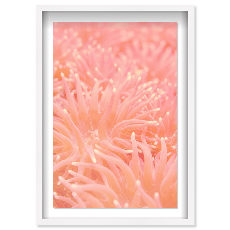 Deep Sea Flowers Shadowbox Nautical & Beach Print by Oliver Gal, Black Frame, 10 x 15, 37.5"H x 25.5"W, White Shadowbox