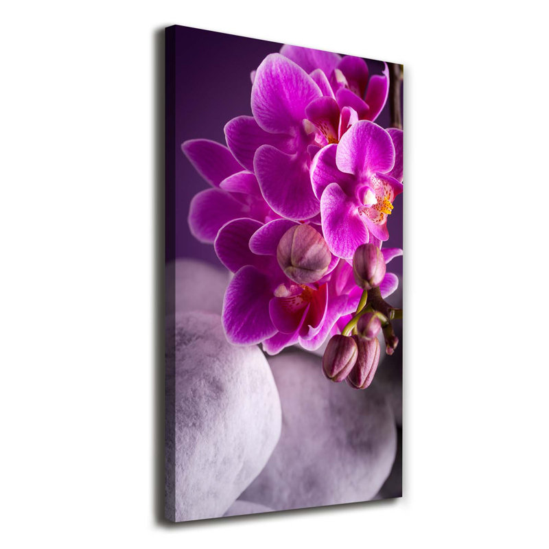 Pink Orchid 1 Piece Wrapped Canvas Wall Art
