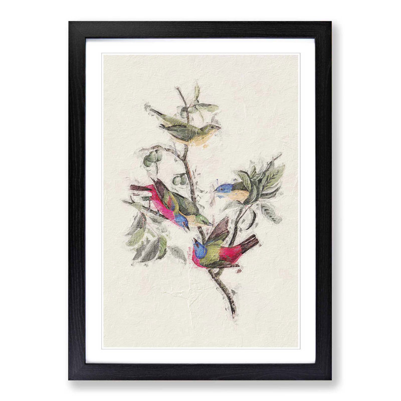 Painted Finches by John Audubon - Framed Print, 48cm H x 36cm W x 2cm D, Black Framed