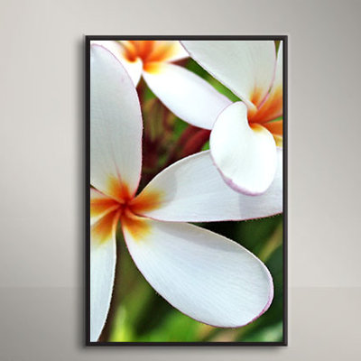 Kathy Yates - Wrapped Canvas Photograph