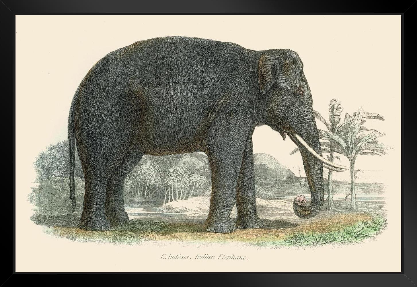 aztec elephant painting