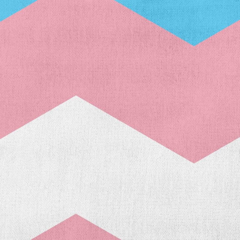 Chevron Reversible Throw Pillow, Pink, 20" H x 20" W