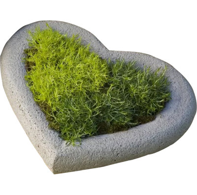 Heart Planter