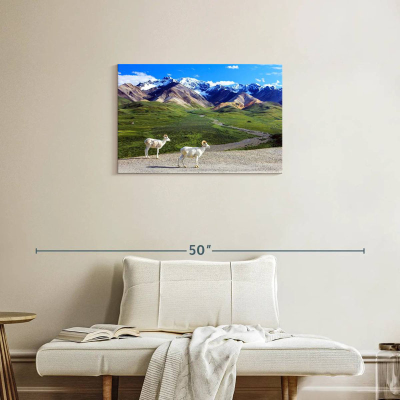 Rorry Dall Sheep In Denali, 20" H x 30" W