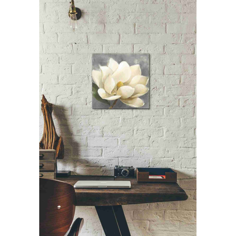 «Magnolia Blossom on Grey» par Albena Hristova, art mural sur toile, H 12 po x l 12 po x P 0,75 po