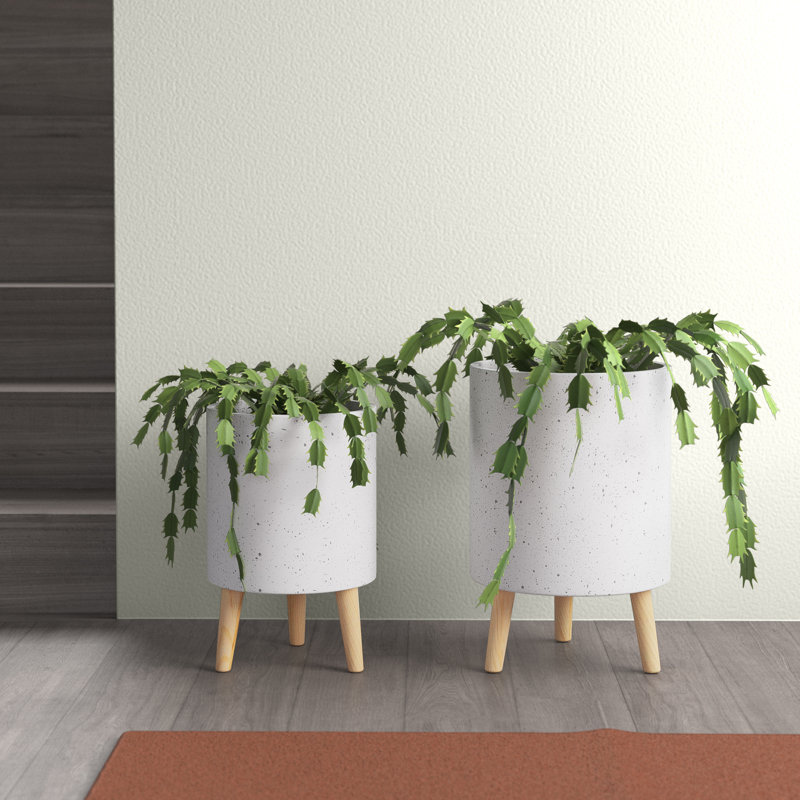 Ensemble de pots à fleurs en argile 2 pièces Annika