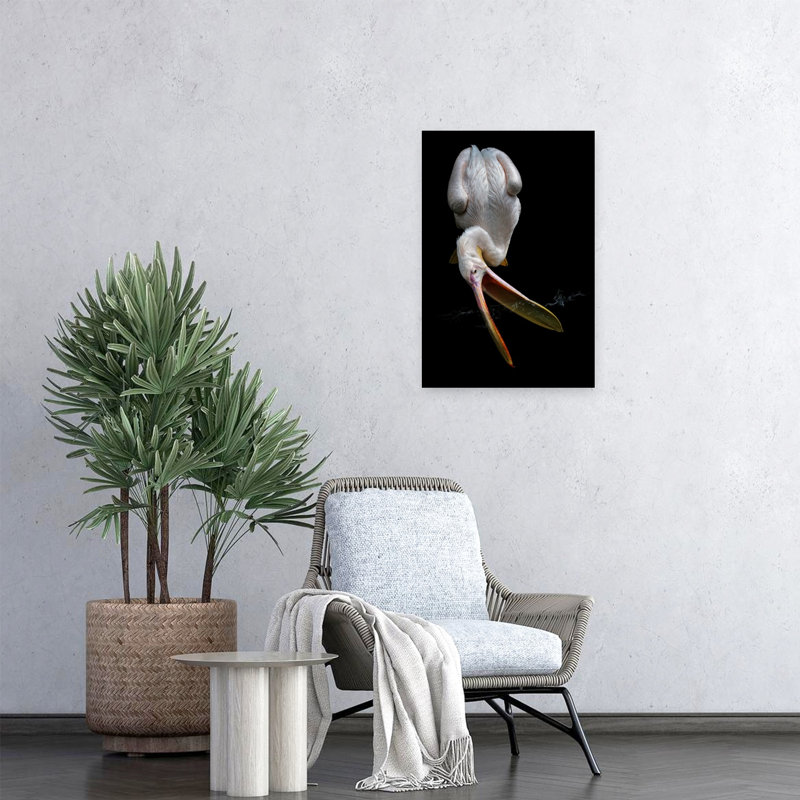 White Pelican Open Beak Elegant Contemporary Bird Pelican Nature Portrait Wall Art Print 1 Piece Wrapped Canvas Wall Art