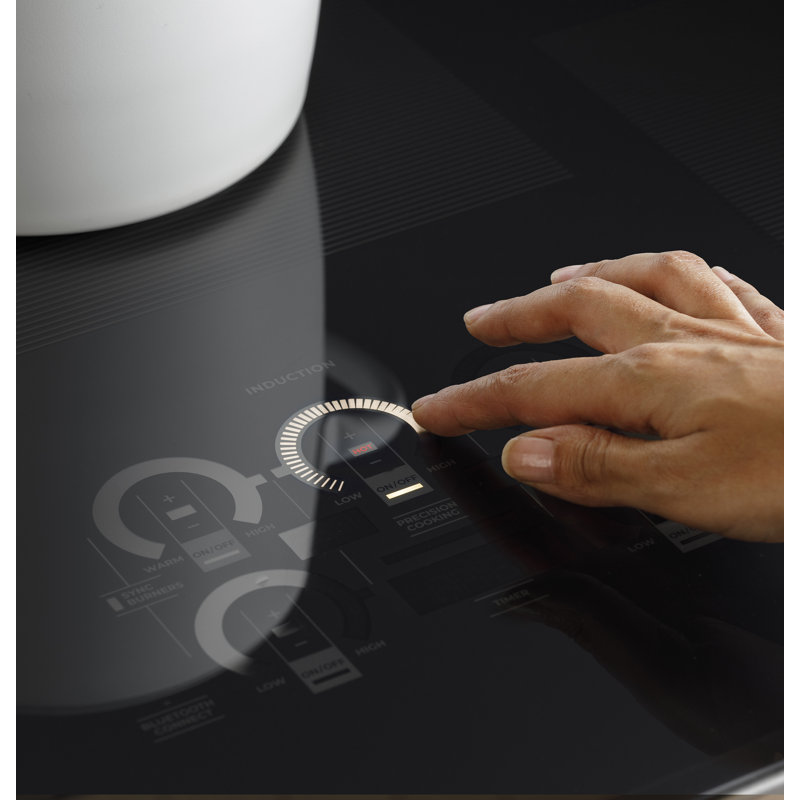 Monogram 36-Inch Induction Professional Range