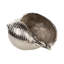 Rough Nickel Shell 22x16x12 Cm-736588883