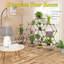 Plant Stand