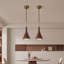 Luminaire suspendu simple