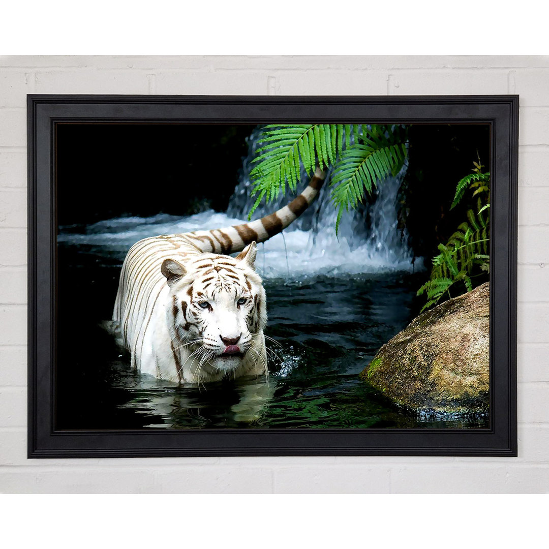 White Tiger Beautiful - Einzelner Bilderrahmen Kunstdrucke